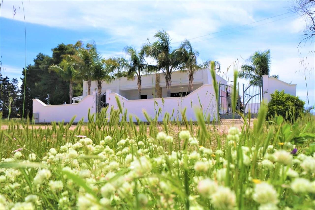 Da Casa Tiziana Hotel Porto Cesareo Exterior photo